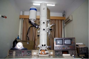 復(fù)旦大學(xué)物理系應(yīng)用表面物理國家重點(diǎn)實(shí)驗(yàn)室